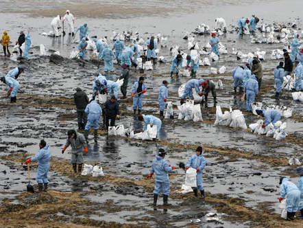 Image 1196799 (auto) Image 1196799 (auto)