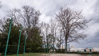 Đir po Perivoju Vladimira Nazora