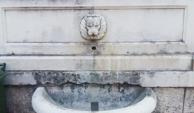 Gradska slavina, špina, lavlja glava