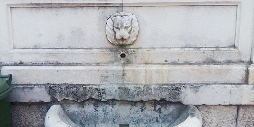 Gradska slavina, špina, lavlja glava Gradska slavina, špina, lavlja glava