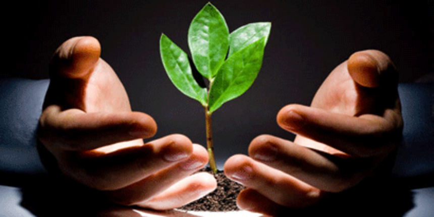 Sadnja biljaka u vašem vrtu