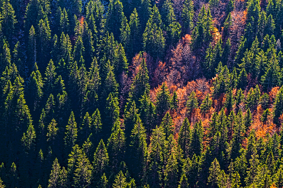 Đir do Zavižana, sjeverni Velebit, foto: Leo Banić