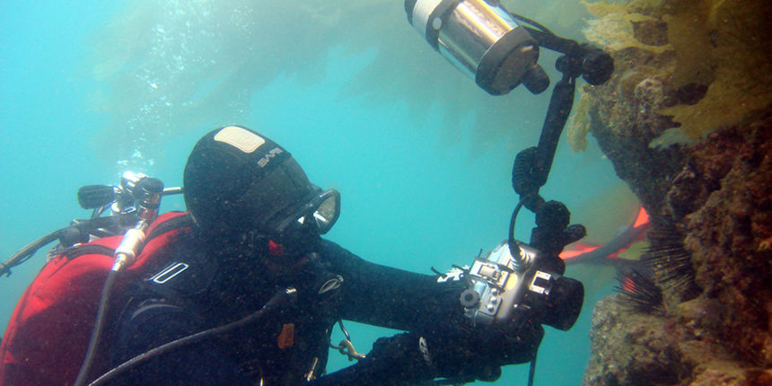 Podvodna fotografija (Foto:ecodivecenter.com) Podvodna fotografija (Foto:ecodivecenter.com)