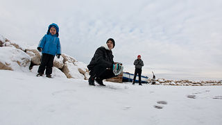 Snijeg u Bibinjama 3. veljače 2012, Foto: Leo Banić