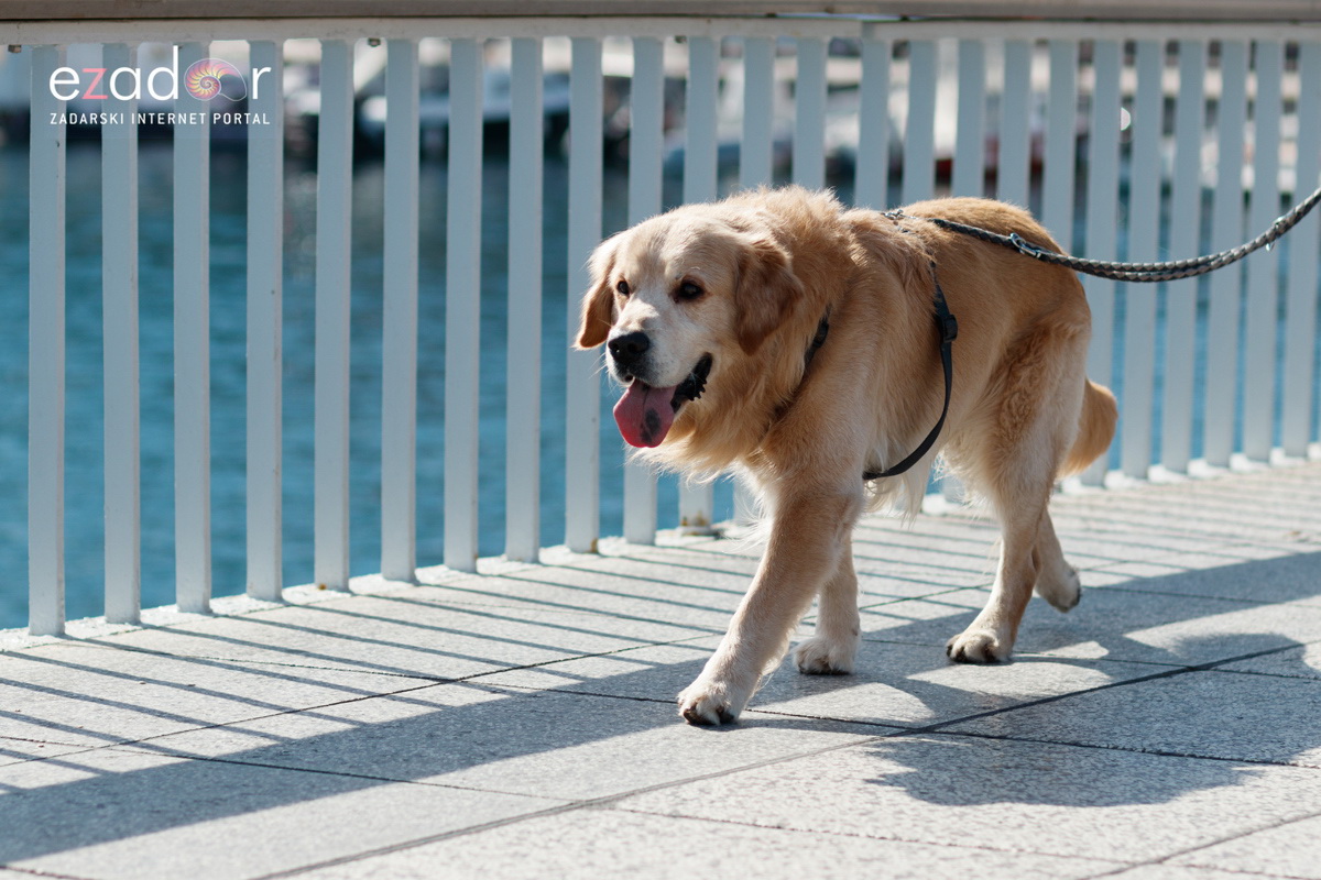 Đir po gradu, subotnja špica 9. ožujka 2019. Đir po gradu, subotnja špica 9. ožujka 2019.