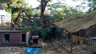 Nevera učinila veliku štetu i zadarskom azilu Nevera učinila veliku štetu i zadarskom azilu