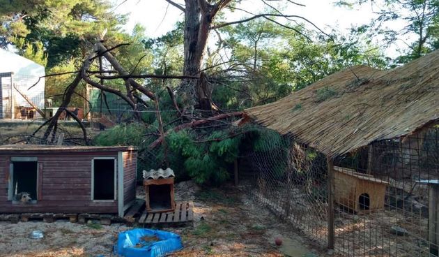 Nevera učinila veliku štetu i zadarskom azilu