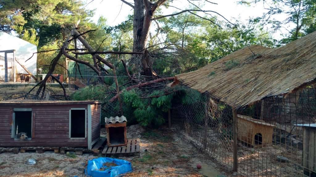 Nevera učinila veliku štetu i zadarskom azilu Nevera učinila veliku štetu i zadarskom azilu