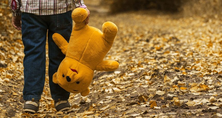 Dijete i medo Dijete i medo