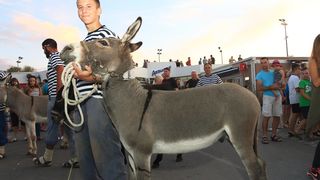 Trka Tovarov – 48. Memorijal Kenje Vijole Sukošan  Photo: Leo Banić