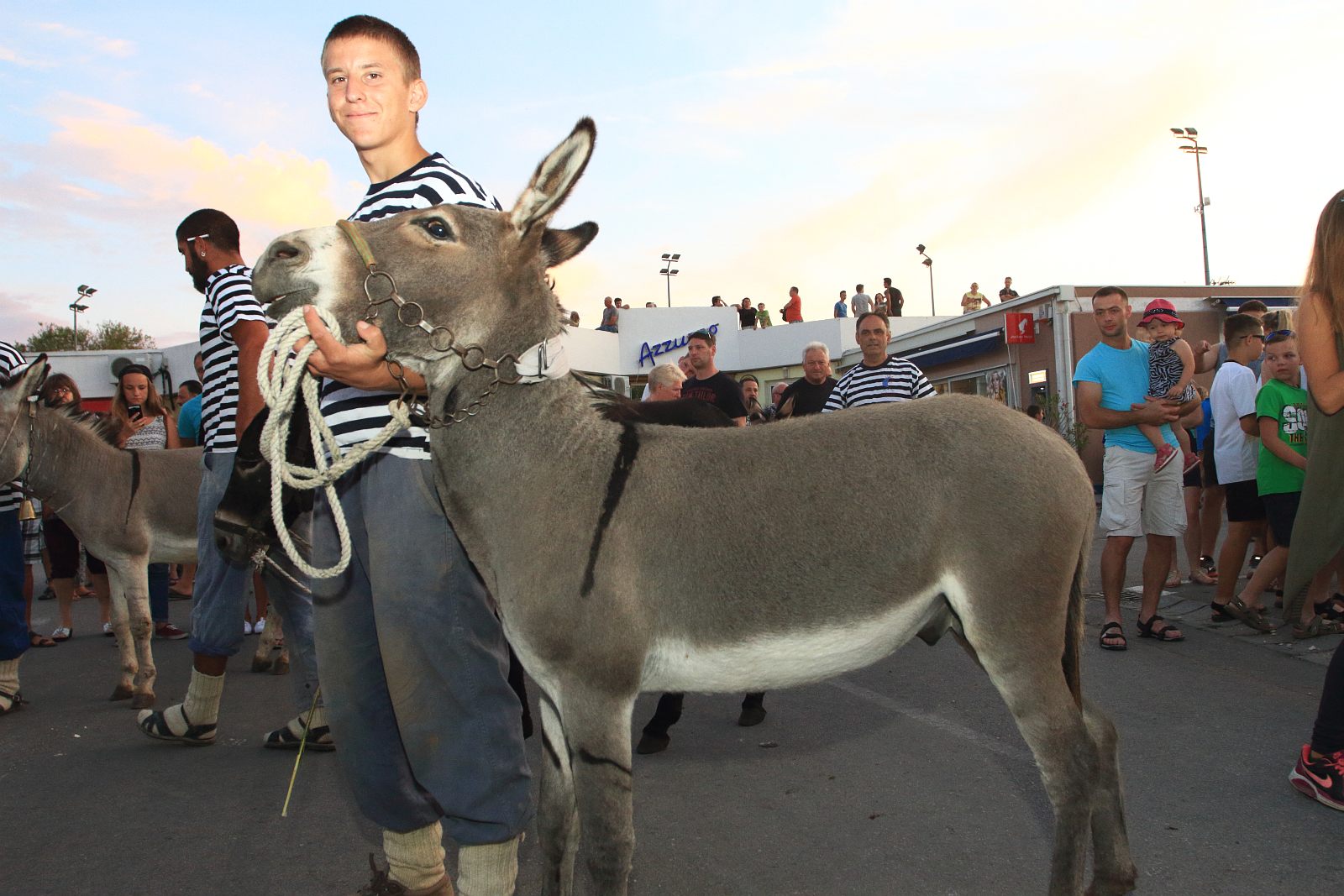 Trka Tovarov – 48. Memorijal Kenje Vijole Sukošan  Photo: Leo Banić
