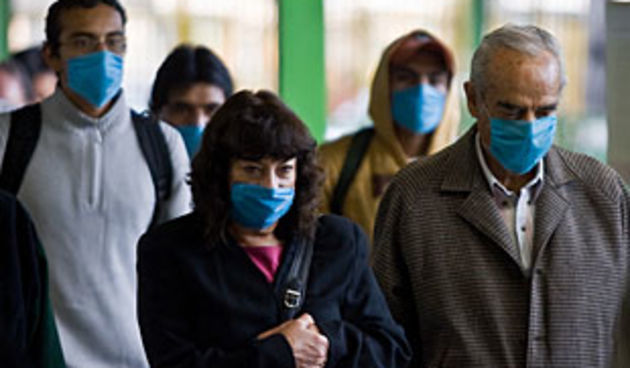 Svinjska gripa (Foto: Net.hr)