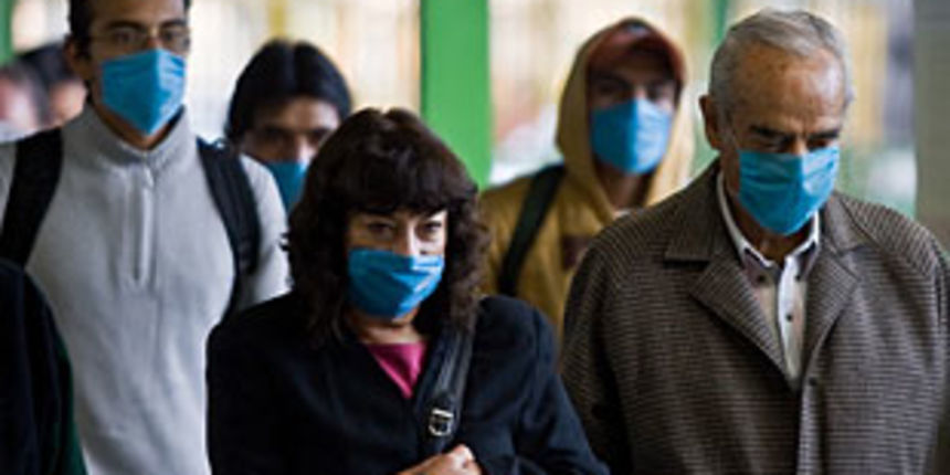 Svinjska gripa (Foto: Net.hr) Svinjska gripa (Foto: Net.hr)