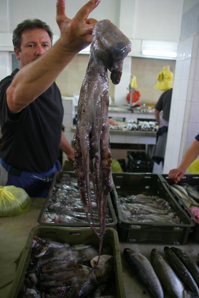 Image 1201845 (auto)