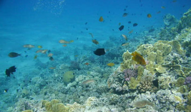 Podmorje (Foto: Totalportal.hr)