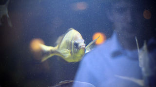 Image 874211 (auto) Image 874211 (auto)