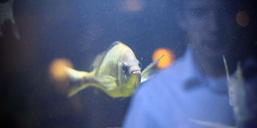 Image 874211 (auto) Image 874211 (auto)