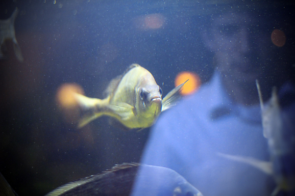 Image 874211 (auto) Image 874211 (auto)