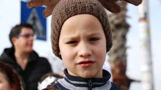 Virski karnevalić 2016. Virski karnevalić 2016.