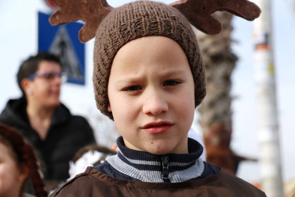 Virski karnevalić 2016. Virski karnevalić 2016.