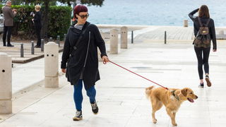 Đir po gradu 22. studenog 2016. Foto: Bojan Bogdanić Đir po gradu 22. studenog 2016. Foto: Bojan Bogdanić