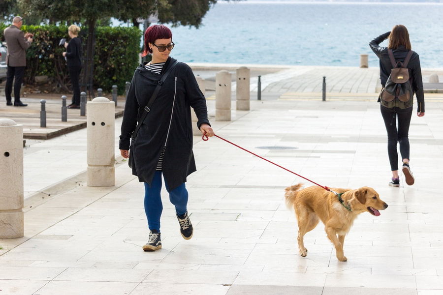 Đir po gradu 22. studenog 2016. Foto: Bojan Bogdanić Đir po gradu 22. studenog 2016. Foto: Bojan Bogdanić