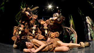 Knjiga o džungli, foto: Iva Perinčić Knjiga o džungli, foto: Iva Perinčić