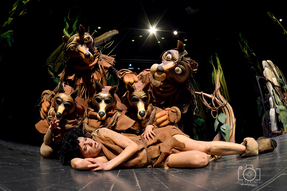 Knjiga o džungli, foto: Iva Perinčić Knjiga o džungli, foto: Iva Perinčić