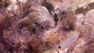 OLYMPUS DIGITAL CAMERA OLYMPUS DIGITAL CAMERA