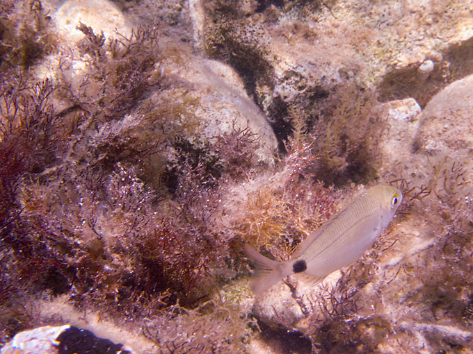 OLYMPUS DIGITAL CAMERA OLYMPUS DIGITAL CAMERA