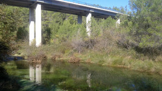 Krška rijela Karišnica. Foto: Edvard Šprljan Krška rijela Karišnica. Foto: Edvard Šprljan