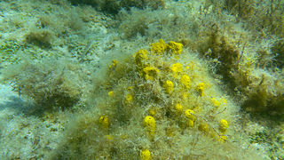 OLYMPUS DIGITAL CAMERA OLYMPUS DIGITAL CAMERA