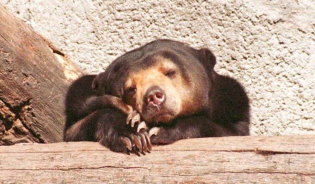 Medo (Foto: 7art-screensavers.com)