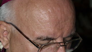 OLYMPUS DIGITAL CAMERA OLYMPUS DIGITAL CAMERA