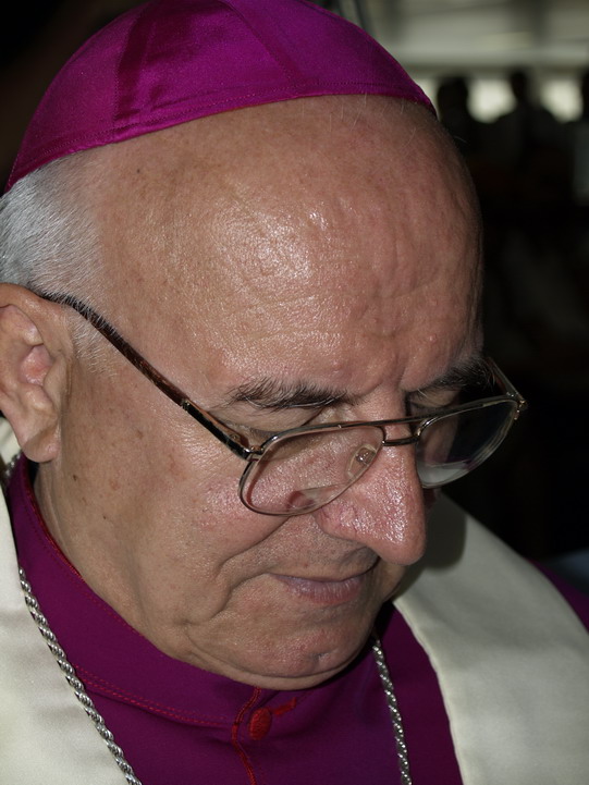 OLYMPUS DIGITAL CAMERA OLYMPUS DIGITAL CAMERA