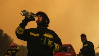 Veliki požar na Pelješcu