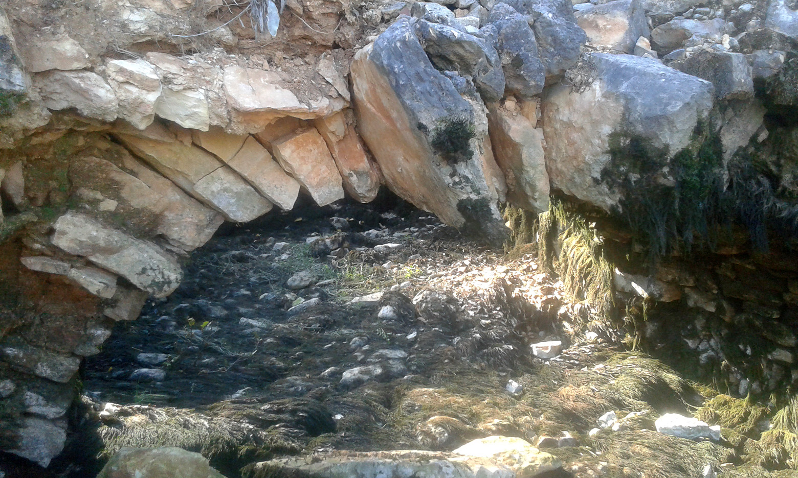 Krška rijela Karišnica. Foto: Edvard Šprljan Krška rijela Karišnica. Foto: Edvard Šprljan