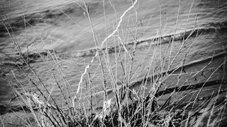 Crno bijela bajka na Kraljičinoj plaži, foto: Iva Perinčić