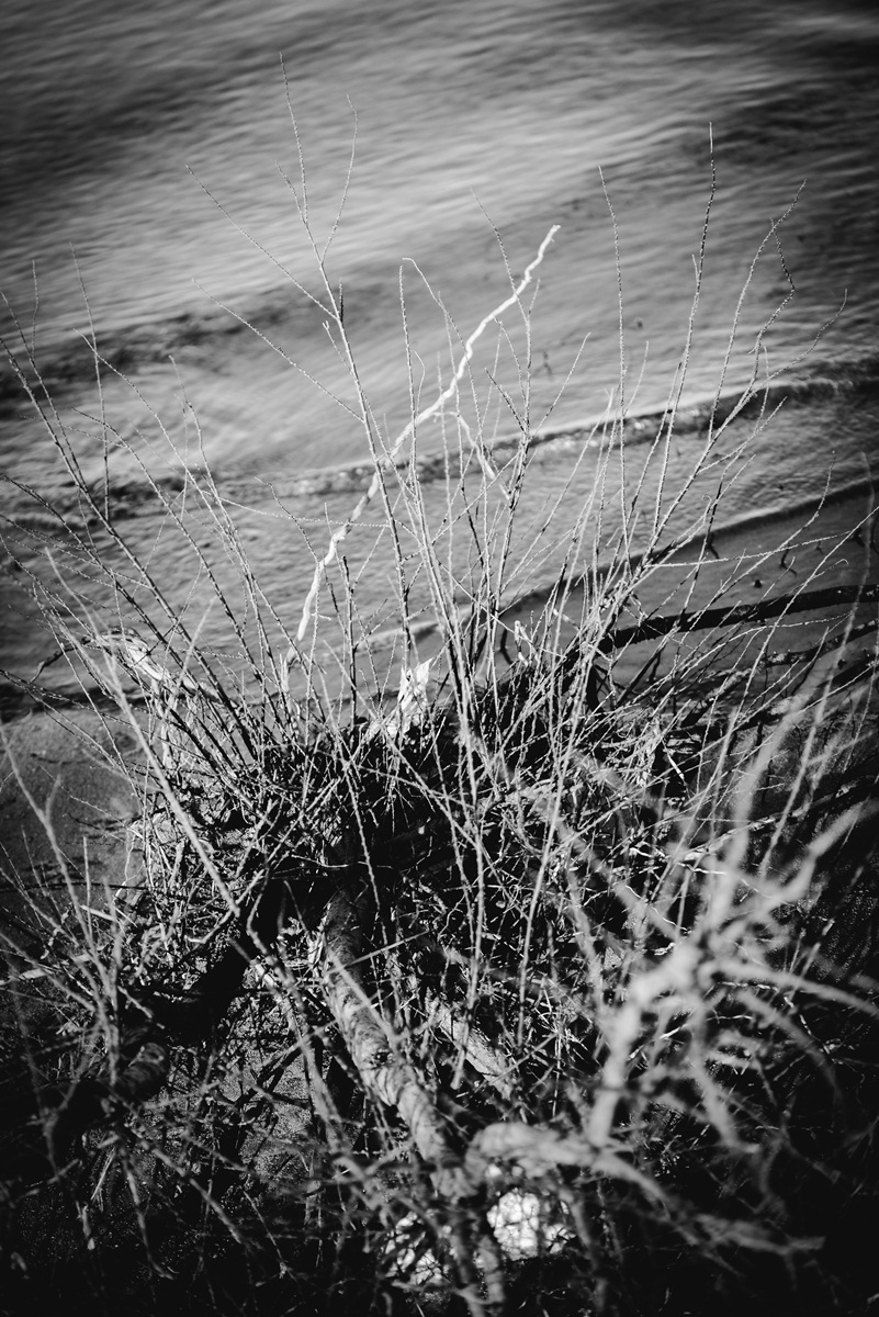 Crno bijela bajka na Kraljičinoj plaži, foto: Iva Perinčić