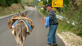 Image 1190423 (auto)