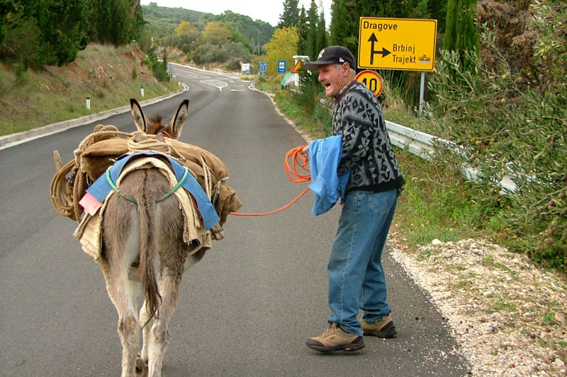 Image 1190423 (auto)