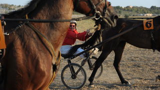 Zadar, 200811.
U Polaci na hipodromu Ravni kotari odrzane su 
14. Medjunarodne galopske konjicke utrke “Oluja 95”. 
Foto: Andrija Lucic / CROPIX