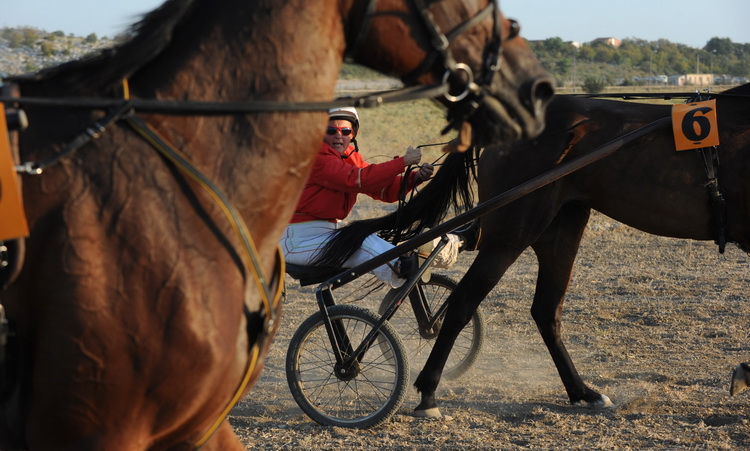 Zadar, 200811.
U Polaci na hipodromu Ravni kotari odrzane su 
14. Medjunarodne galopske konjicke utrke “Oluja 95”. 
Foto: Andrija Lucic / CROPIX
