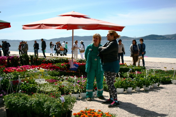 Otvorena 2. Vrtna izložba “Cvijet Zadra”. Foto: Marija Cvetković