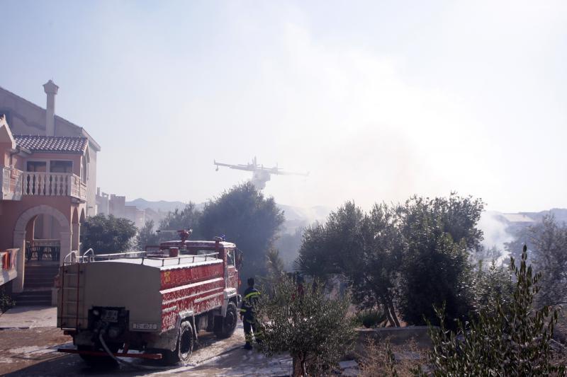 Požar na Plovaniji 11. kolovoza 2013. Foto: Željko Mršić/PIXSELL Požar na Plovaniji 11. kolovoza 2013. Foto: Željko Mršić/PIXSELL