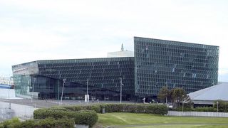 Đir po Reykjaviku, glavnom gradu Islanda