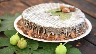 Delicije na sajmu “Gastro smokva” Delicije na sajmu “Gastro smokva”