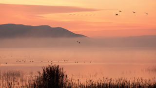 Čarobno jutro na Vranskom jezeru Čarobno jutro na Vranskom jezeru