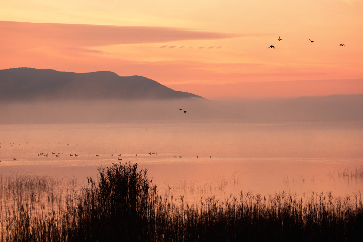 Čarobno jutro na Vranskom jezeru Čarobno jutro na Vranskom jezeru