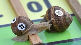 U sklopu Benkovackog kulturnog ljeta Grad Benkovac i Turisticka zajednica Grada Benkovca vec cetvrtu godinu za redom organiziraju manifestaciju Puzevim korakom. Radi se o gastro manifestaciji pripreme i degustacije puzeva. Posjetitelji su imali prilike d U sklopu Benkovackog kulturnog ljeta Grad Benkovac i Turisticka zajednica Grada Benkovca vec cetvrtu godinu za redom organiziraju manifestaciju Puzevim korakom. Radi se o gastro manifestaciji pripreme i degustacije puzeva. Posjetitelji su imali prilike d